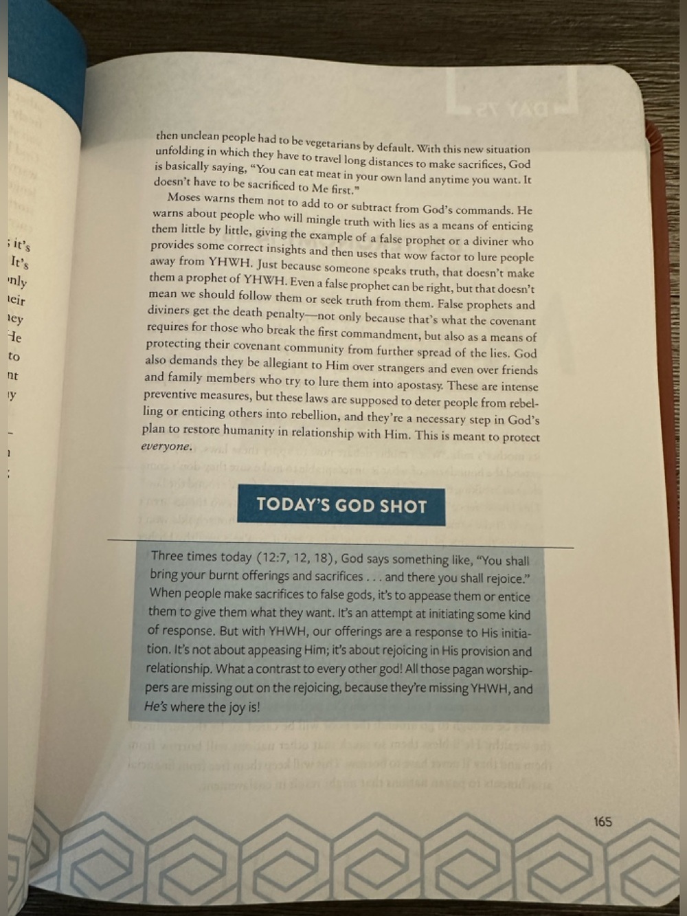 The Bible Recap One-Year Guide by Tara-Leigh Cobble - Picture 10 of 16